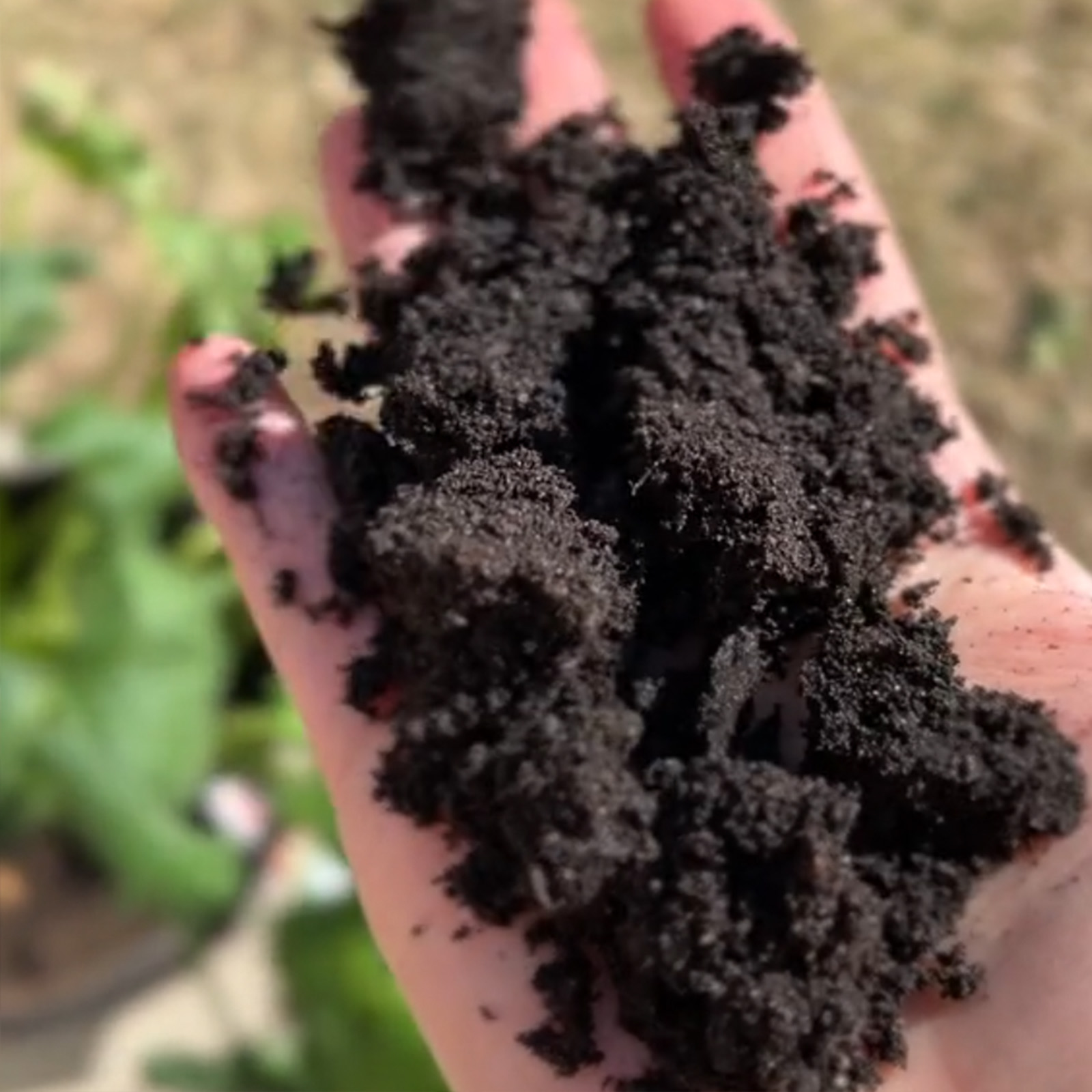 Composting is simpler than you think! A guide…