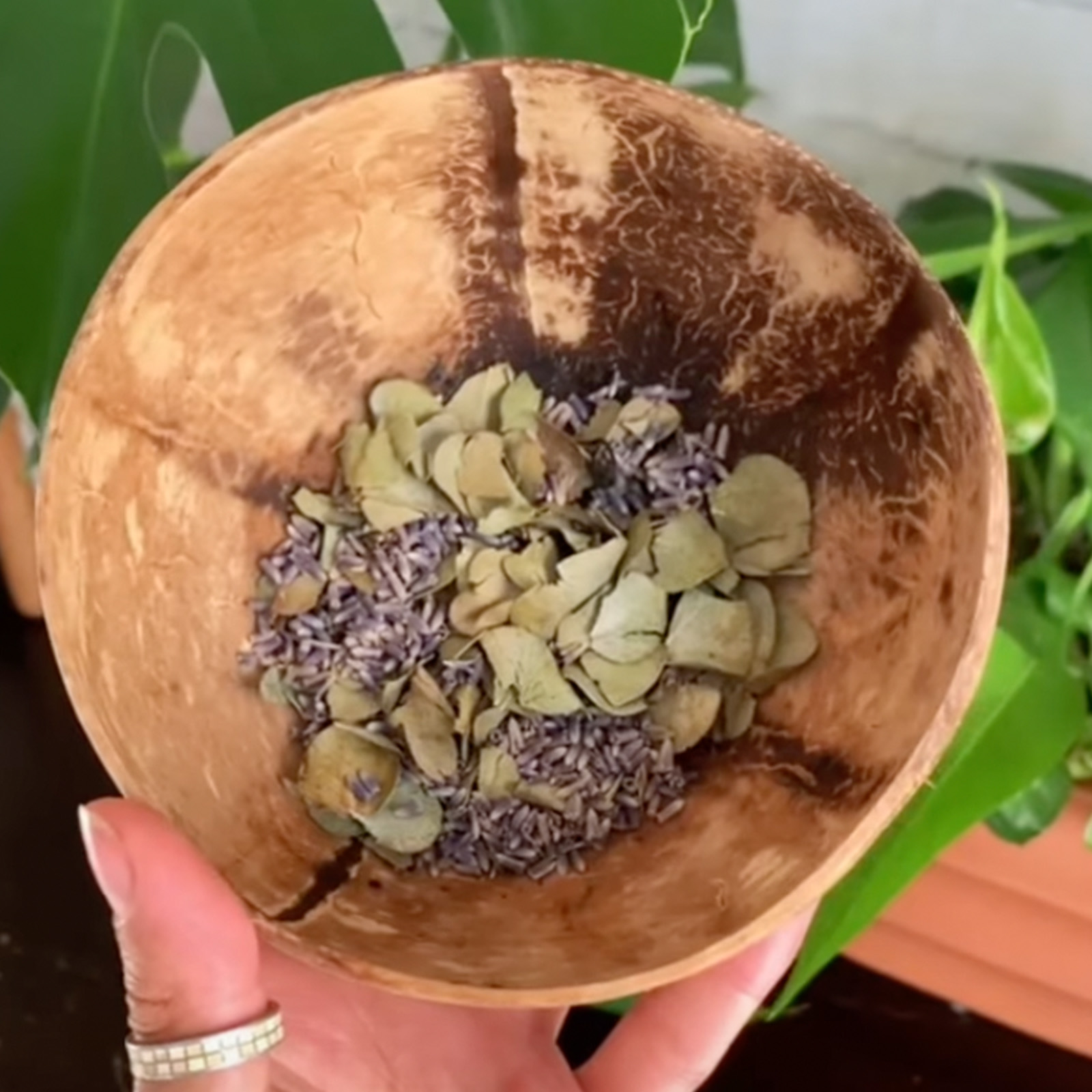 Sweet! DIY perfume 🌺 👃